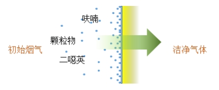 678体育科技
