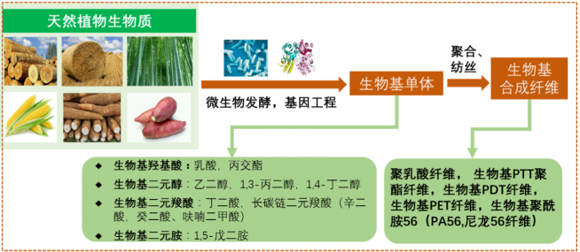 678体育科技