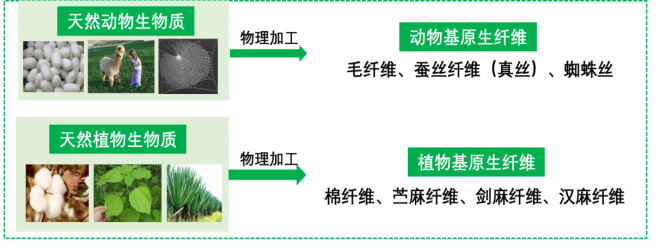678体育科技