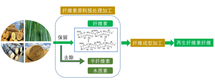 678体育科技