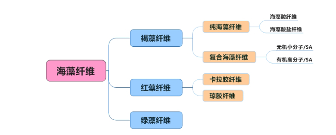 678体育科技