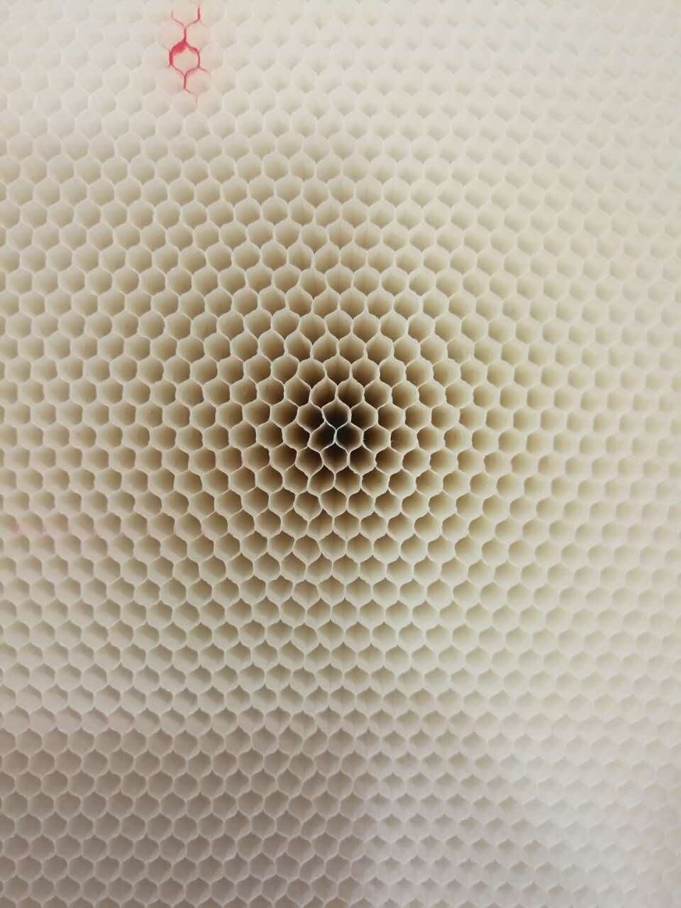 678体育科技