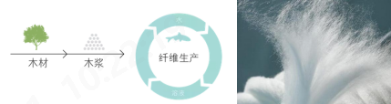 678体育科技