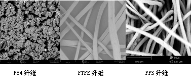 678体育科技